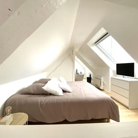 La Cle Des Toits 公寓 科尔马