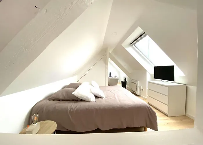 La Cle Des Toits Lejlighed Colmar