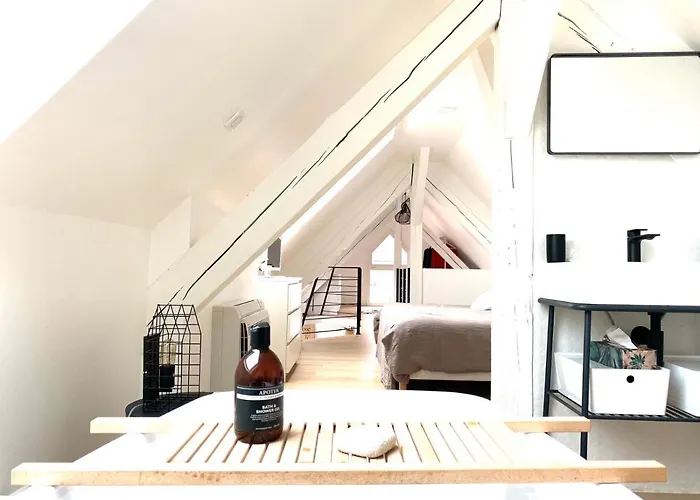 La Cle Des Toits Colmar